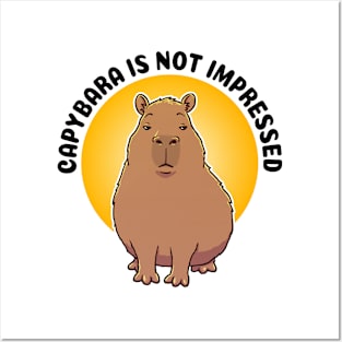 Capybara is not impressed Posters and Art